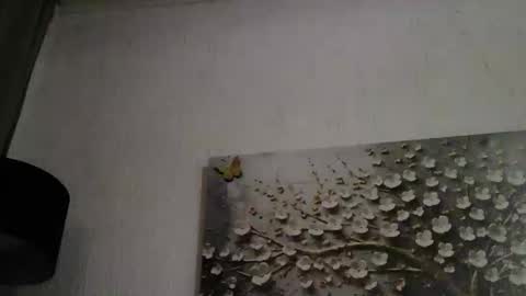 AnyBigTitts online show from March 1, 4:42 pm