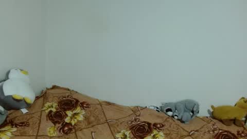 apache_710 online show from November 20, 2:34 am