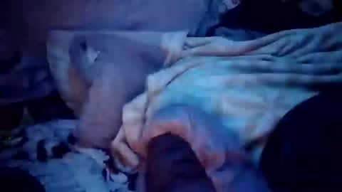 apocolypseanomaly online show from December 16, 12:49 pm