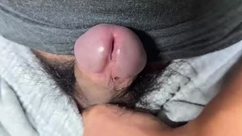 apple2761 online show from November 28, 4:15 am