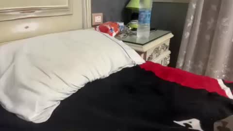 Snapshot of arabman991 chatting on January 29, 1:05 am Egyptian Man online show from January 29, 1:05 am