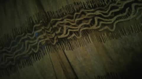 olo online show from November 24, 4:34 am