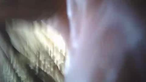 olo online show from December 15, 8:29 am