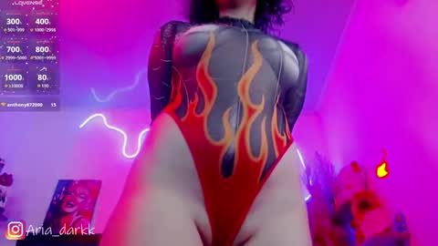 Snapshot of ariadarkk chatting on February 13, 9:11 pm Aria online show from February 13, 9:11 pm