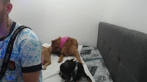 Snapshot of ariana_esteban07 chatting on February 6, 10:29 am ariana_esteban07 online show from February 6, 10:29 am