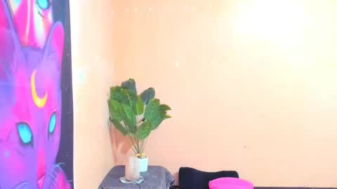 Snapshot of ariba_aribats chatting on February 18, 1:11 pm VAL online show from February 18, 1:11 pm