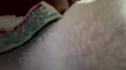 Snapshot of arley1966 chatting on April 2, 11:46 pm arley1966 online show from April 2, 11:46 pm