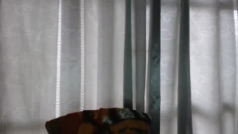 ARMANDO online show from December 16, 5:07 pm