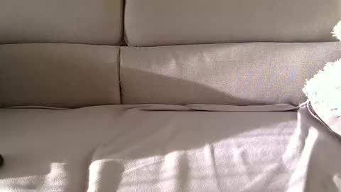 arpinopeer3055 online show from November 5, 8:14 am