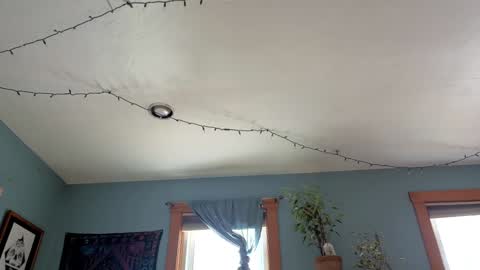 Artie Paints online show from January 3, 4:27 pm