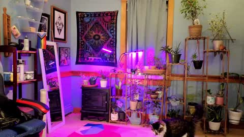 Artie Paints online show from January 4, 12:16 am