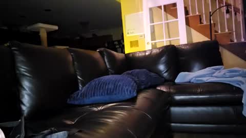 Artie Paints online show from January 18, 3:42 am