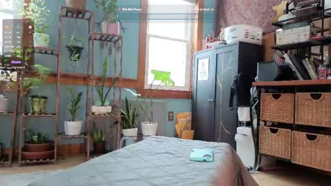 Artie Paints online show from February 10, 5:30 pm