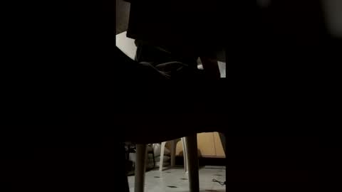 ashutoshkhanna online show from February 15, 7:32 pm