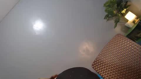 Reyshell online show from February 14, 2:36 pm