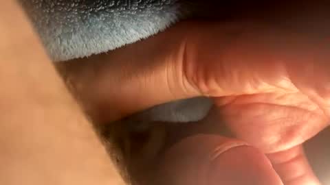 Snapshot of asterwix chatting on September 21, 1:46 pm asterwix online show from September 21, 1:46 pm