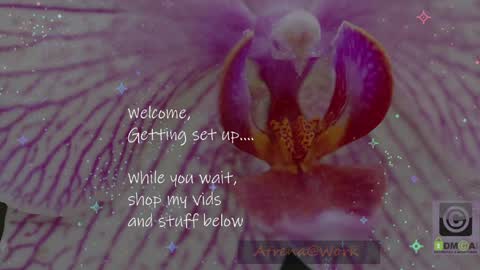 Atrena online show from April 14, 2:39 am