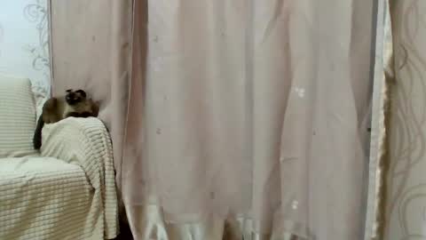 Kiara Xanthe online show from February 25, 2:48 pm