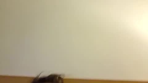 Snapshot of aussie_dadbod6969 chatting on May 3, 1:44 am aussie_dadbod6969 online show from May 3, 1:44 am