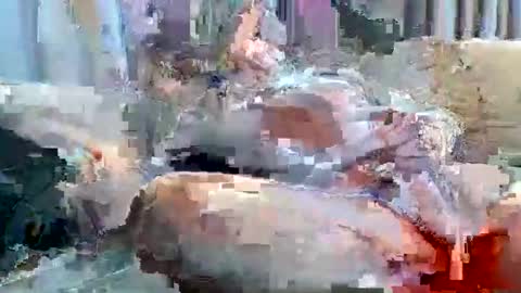 averagejoe2025 online show from November 18, 1:22 am