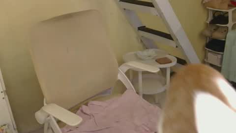 Rhian online show from February 16, 3:24 am