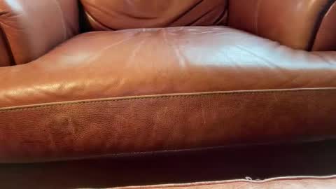 avgdiver online show from January 18, 8:23 pm