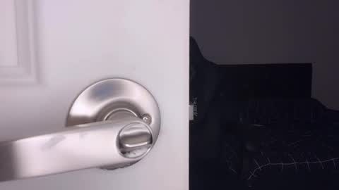 Aya online show from March 7, 8:00 am