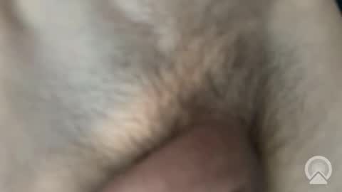 b6662050 online show from May 9, 8:52 am