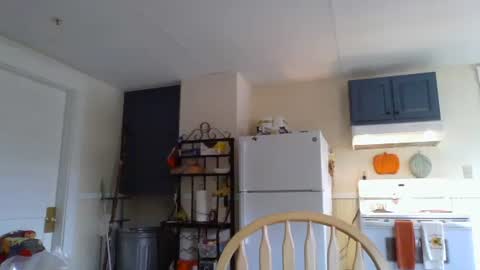 Snapshot of babiifern chatting on October 14, 2:29 pm Fern Browning online show from October 14, 2:29 pm