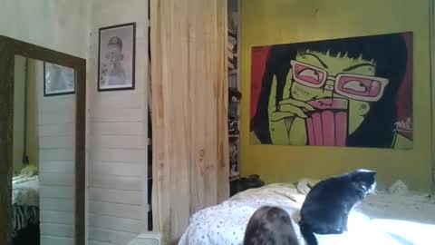 babydemon6 online show from May 24, 1:38 pm