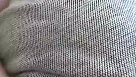 babydollxoxoxo123 online show from April 7, 9:21 am