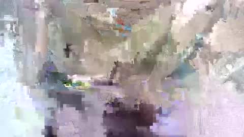 Snapshot of babymom1 chatting on March 7, 8:33 pm babymom1 online show from March 7, 8:33 pm