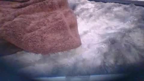 Snapshot of bacchusexx15 chatting on March 30, 6:42 pm bacchusexx15 online show from March 30, 6:42 pm