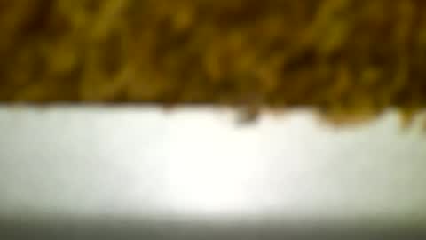 Snapshot of bagalan chatting on December 19, 4:23 am Carlos online show from December 19, 4:23 am