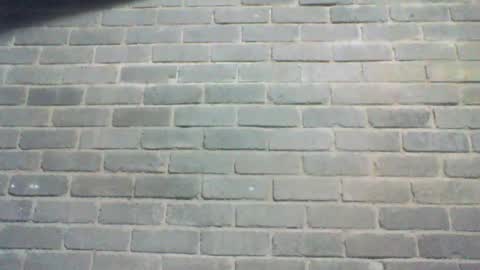 Chaterlain online show from July 16, 8:31 am
