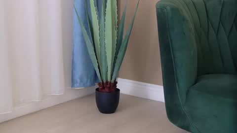 bailey_rush online show from December 3, 4:49 pm