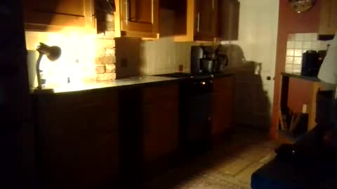 Ballet Bear online show from November 2, 7:27 pm