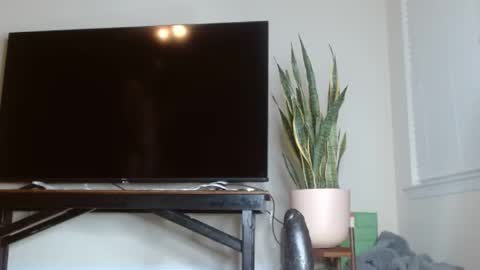 bambirachel1 online show from June 22, 11:02 pm