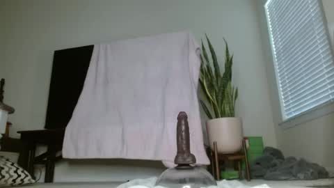 bambirachel1 online show from June 23, 11:36 pm