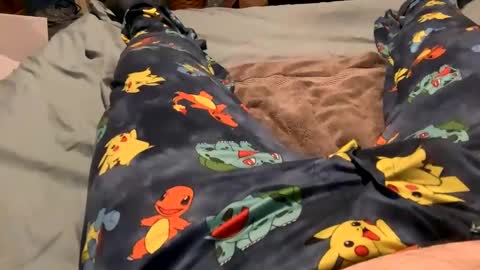 bandman862 online show from January 23, 12:25 am