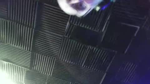 BANJOEY online show from April 18, 5:55 am