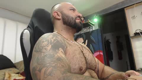 bardock online show from December 19, 2:23 am