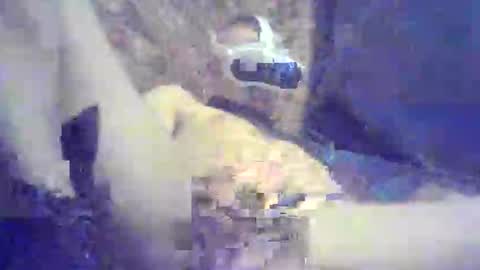 Snapshot of bartbartek chatting on May 16, 5:34 pm bartbartek online show from May 16, 5:34 pm