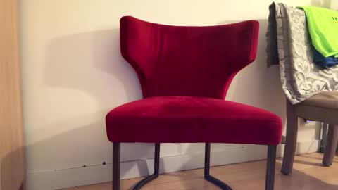 Batestallion9x6 online show from January 19, 11:14 am