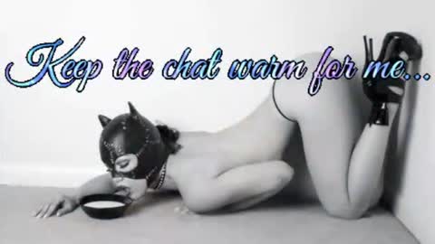 Snapshot of batmansfavoritewife chatting on July 1, 4:58 am Your always sexy Harley online show from July 1, 4:58 am