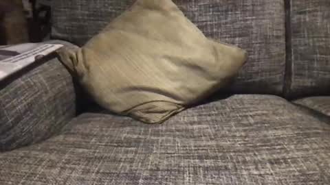 baykiwi54 online show from December 17, 8:45 am