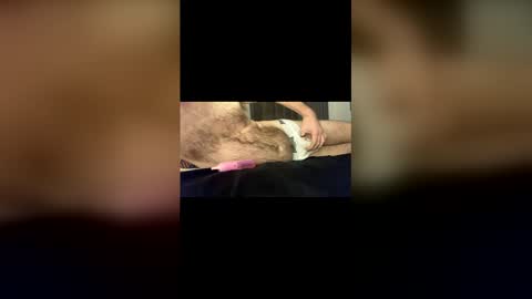 Baz online show from January 18, 11:52 pm