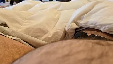 bbjj1970 online show from November 29, 12:19 pm