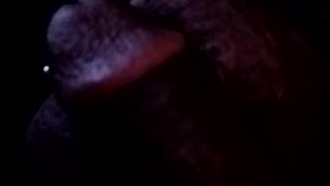 bcfalcon69 online show from May 3, 3:45 am