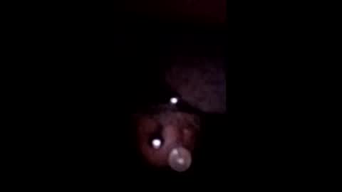 bcfalcon69 online show from May 12, 5:48 am